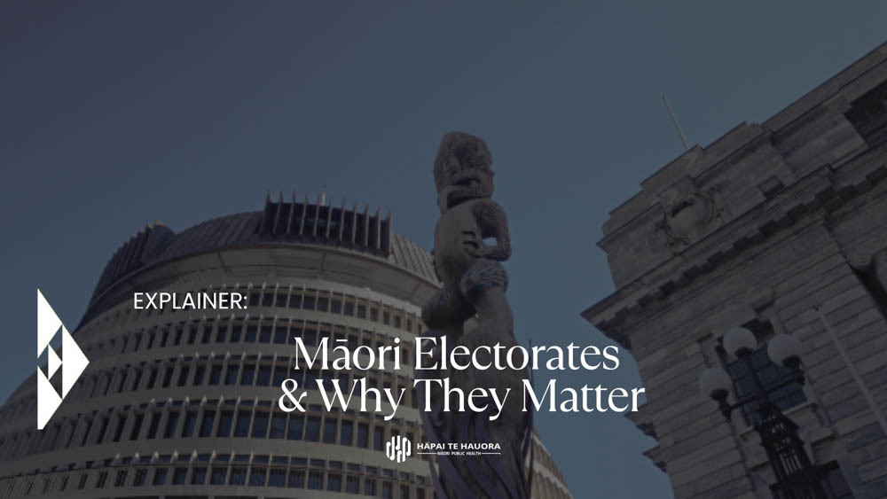 Māori Electorates Why They Matter