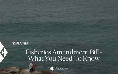 Fisheries Amendment Bill – What You Need To Know