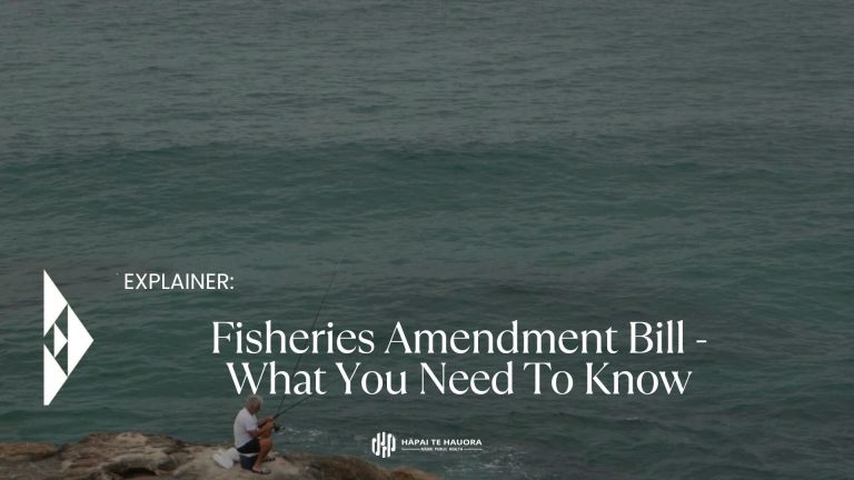 Fisheries Amendment Bill – What You Need To Know